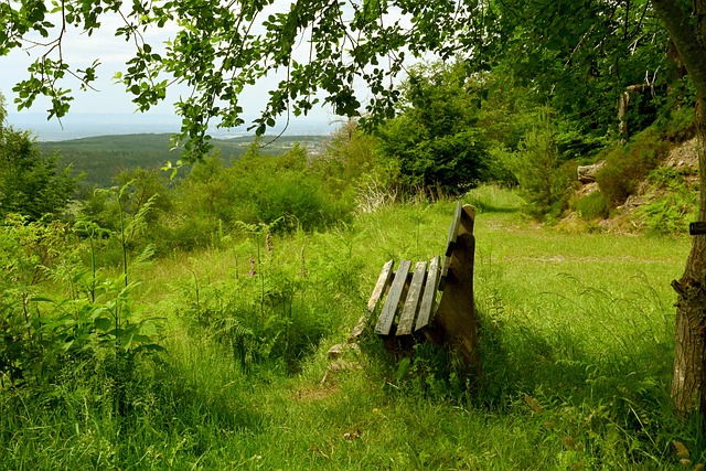 证明了自己 证明了自己