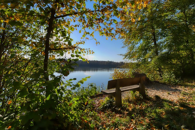 微的数据分 微的数据分
