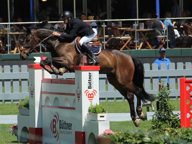 贏得過多達 贏得過多達