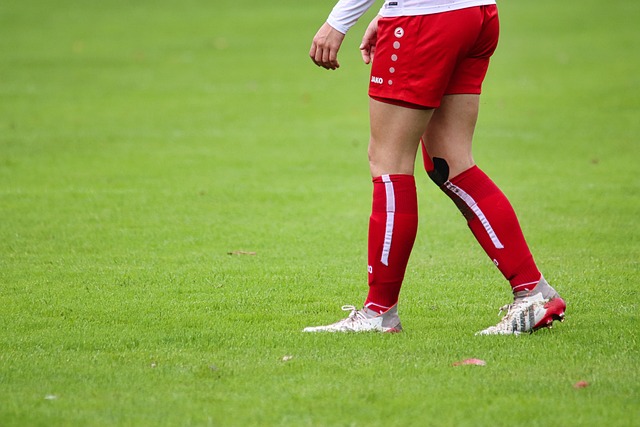 为我们指明 为我们指明