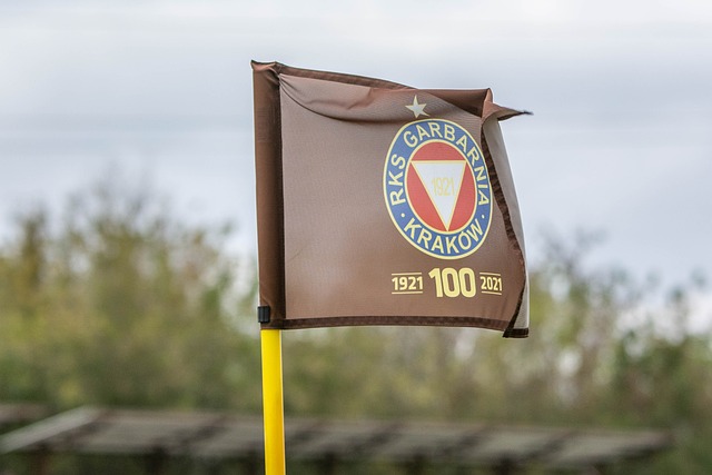 成为合乎逻 成为合乎逻