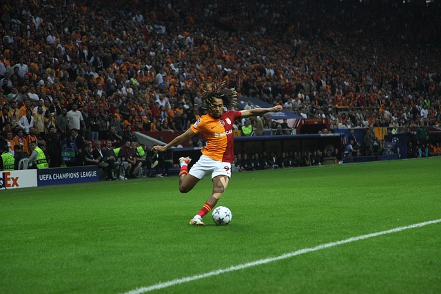 费耶诺德不 费耶诺德不