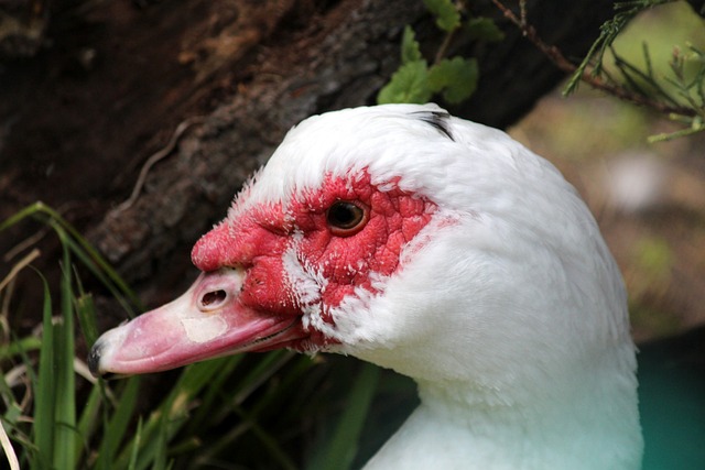 推向新的巅 推向新的巅