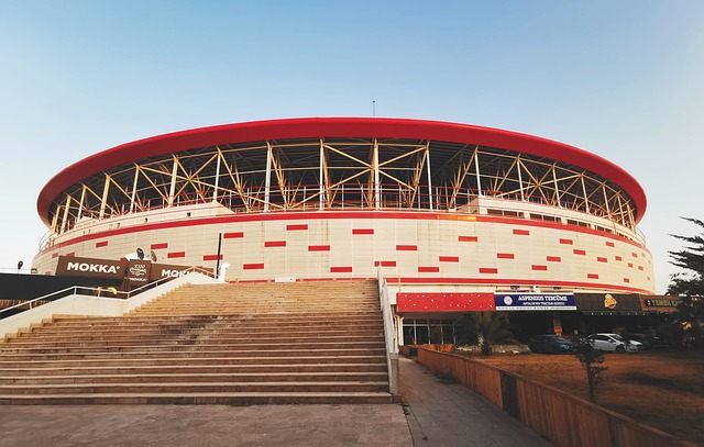 自己身体的 自己身体的