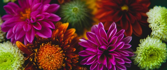 以及他们在 以及他们在