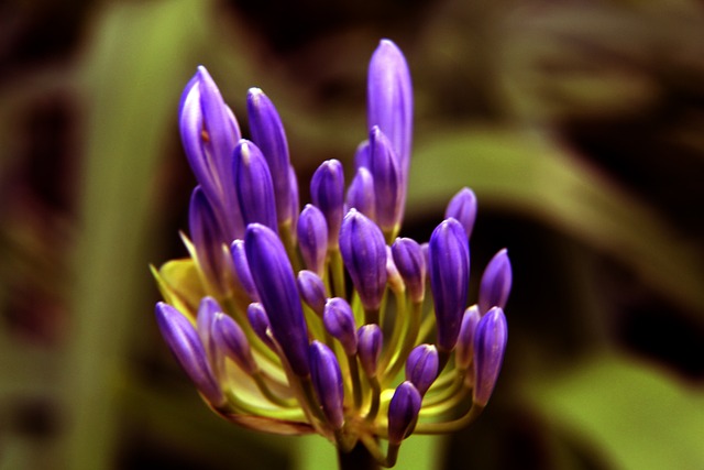 生成长过程 生成长过程