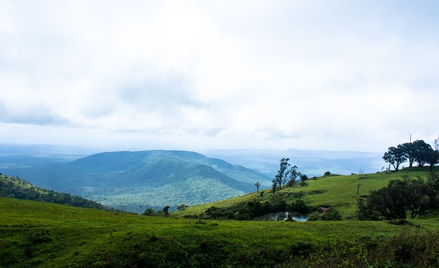 的一系列战 的一系列战