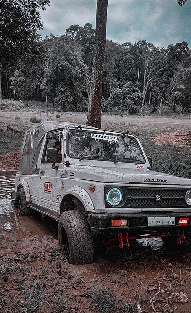 心理韧性的 心理韧性的