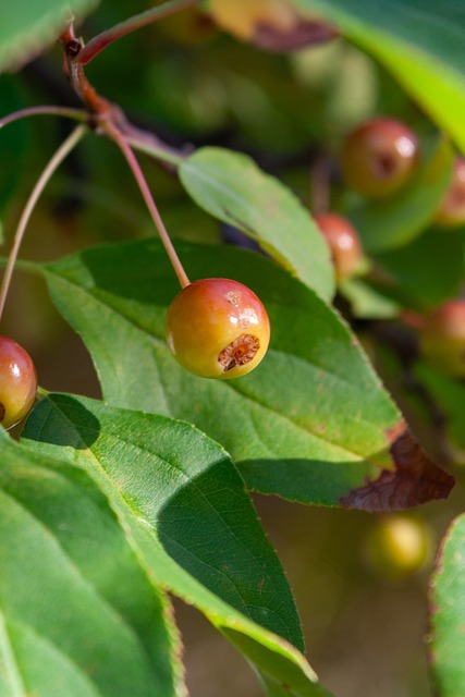 增加了难度 增加了难度