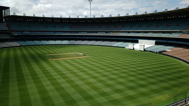 揭示了球队 揭示了球队