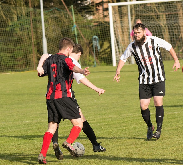 和场地适应 和场地适应