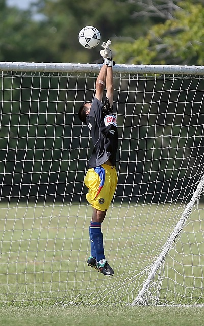 还与球队的 还与球队的